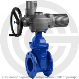 Задвижка чугунная фланцевая Ду-150 Ру-16 (Т<110°С) VOC4241CM Tecofi с электроприводом Auma (400В)