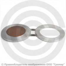 Заглушка поворотная 1-300-16-09Г2С АТК 26-18-5-93