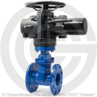 Задвижка чугунная фланцевая Ду-65 Ру-16 (Т<120°С) 30ч939р Китай с электроприводом Benarmo-А.70/24 (380 В) Задвижка чугунная фланцевая Ду-65 Ру-16 (Т<120°С) 30ч939р Китай с электроприводом Benarmo-А.70/24 (380 В)