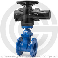 Задвижка чугунная фланцевая Ду-250 Ру-10 (Т<150°С) 30ч939р Китай с электроприводом Benarmo-Б.200/24 (380 В) Задвижка чугунная фланцевая Ду-250 Ру-10 (Т<150°С) 30ч939р Китай с электроприводом Benarmo-Б.200/24 (380 В)