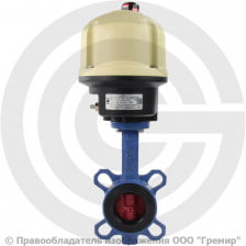 Затвор дисковый поворотный межфланцевый Ду-65 Ру-16 EPDM с чугунным диском Tecofi VPI4448-N04EP с электроприводом Nutork 400В