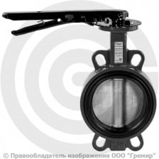 Затвор дисковый поворотный межфланцевый Ду-80 Ру-16 EPDM с чугунным диском Ридан ЗДМ 03