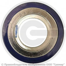 Прокладка спирально-навитая СНП-А-1200 ГОСТ 52376-2005