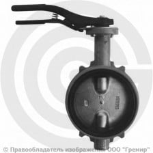 Затвор дисковый поворотный межфланцевый Ду-250 Ру-16 с чугунным диском Giacomini R59W
